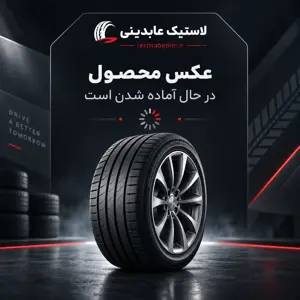 تصویر محصول لاستیک نرئوس چین ۲۰۵/۶۰/۱۶ در حال آماده‌سازی است